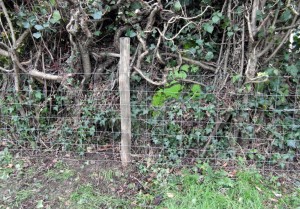 fence2